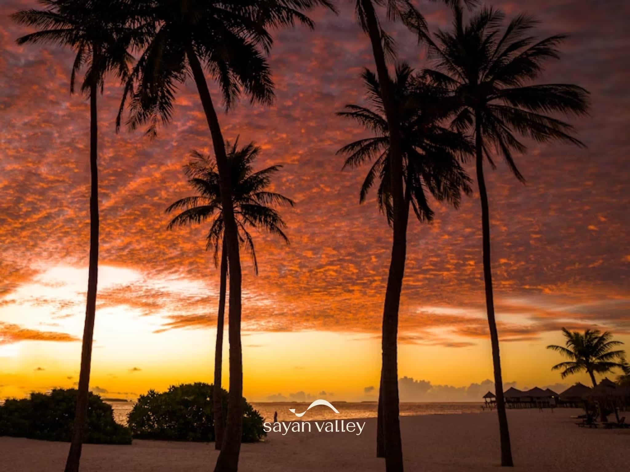 Silhouette of a waiter serving drinks at a beach club during the peak bali sunset time.