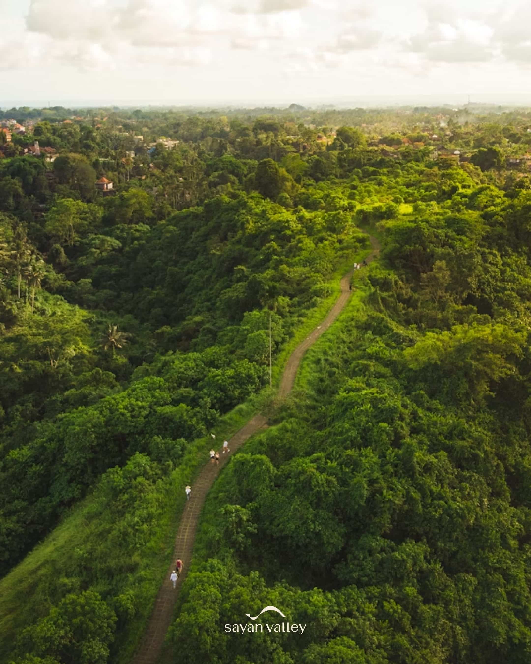 An aerial view of Campuhan, often cited as a favorite where to watch sunset in ubud for active couples; best for couple morning or evening walks.
