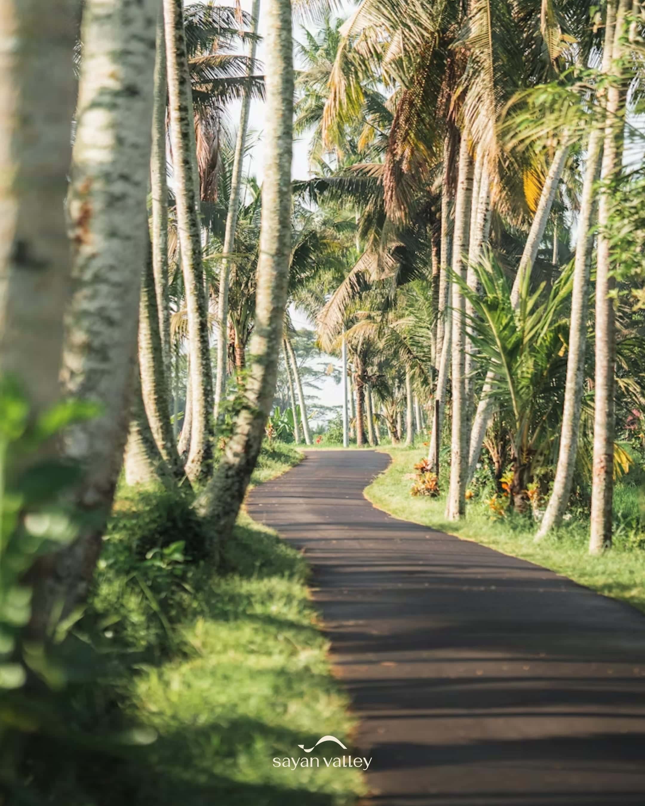 A peaceful village road in Ubud, a hidden sunset spot ubud away from the crowds, honeymoon approved for a private scooter ride