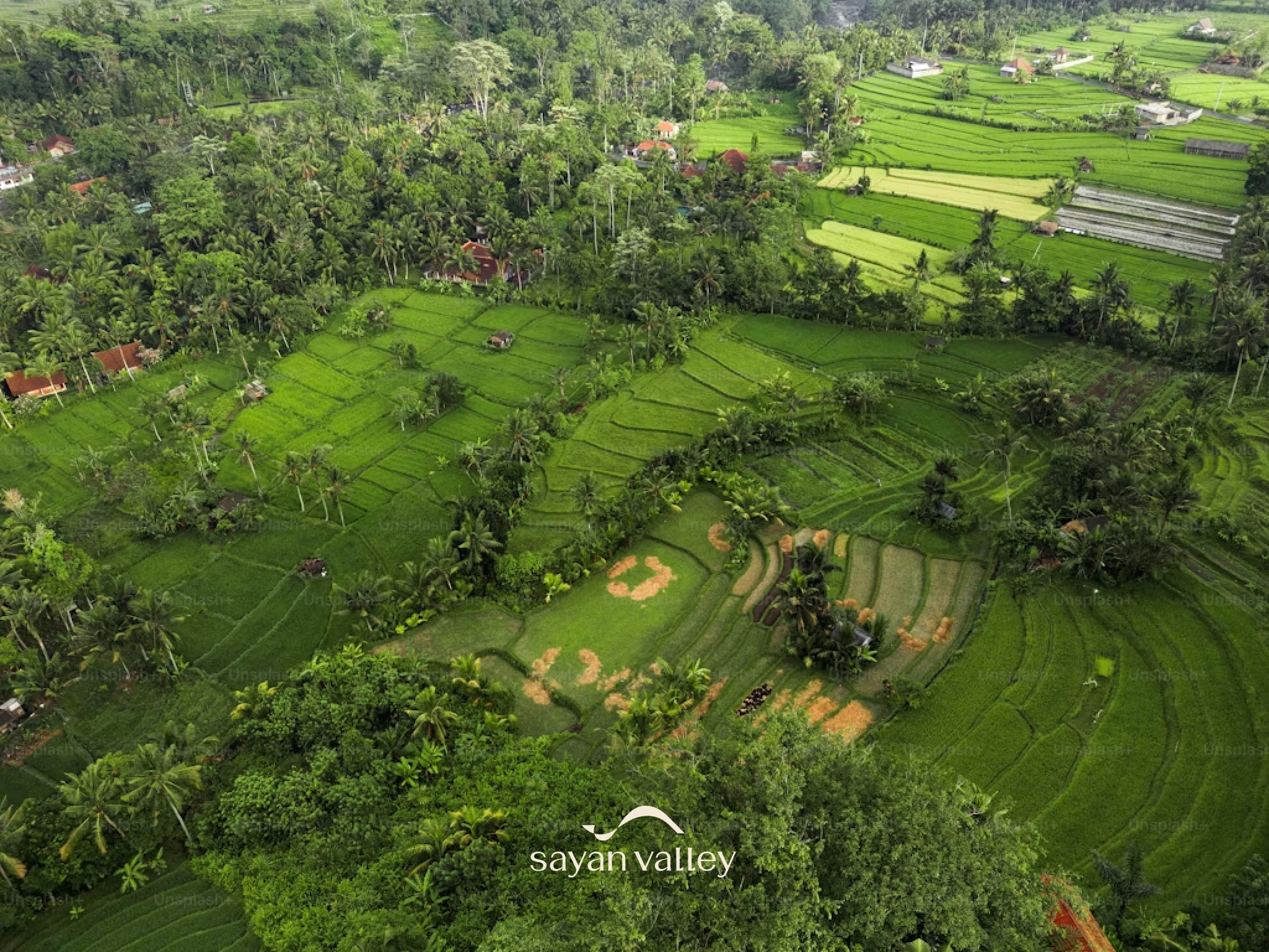 Golden hour light hitting the rice terraces, making it one of the most iconic sunset spots ubud and a honeymoon approved landmark